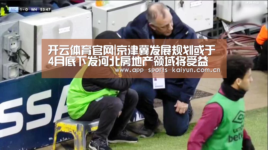 开云体育官网|京津冀发展规划或于4月底下发河北房地产领域将受益(图3) 开云体育网站
