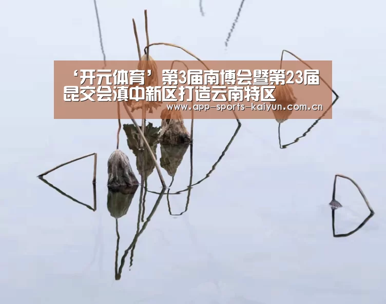 ‘开元体育’第3届南博会暨第23届昆交会滇中新区打造云南特区(图3) 开云体育网站