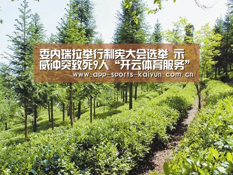 委内瑞拉举行制宪大会选举 示威冲突致死9人“开云体育服务”(图2) 开云体育服务