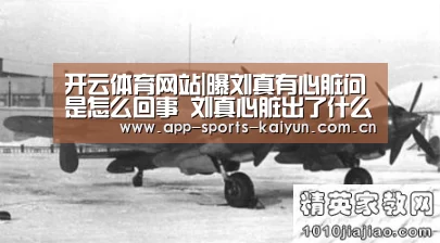 开云体育网站|曝刘真有心脏问是怎么回事 刘真心脏出了什么问题(图1) 开云体育网站