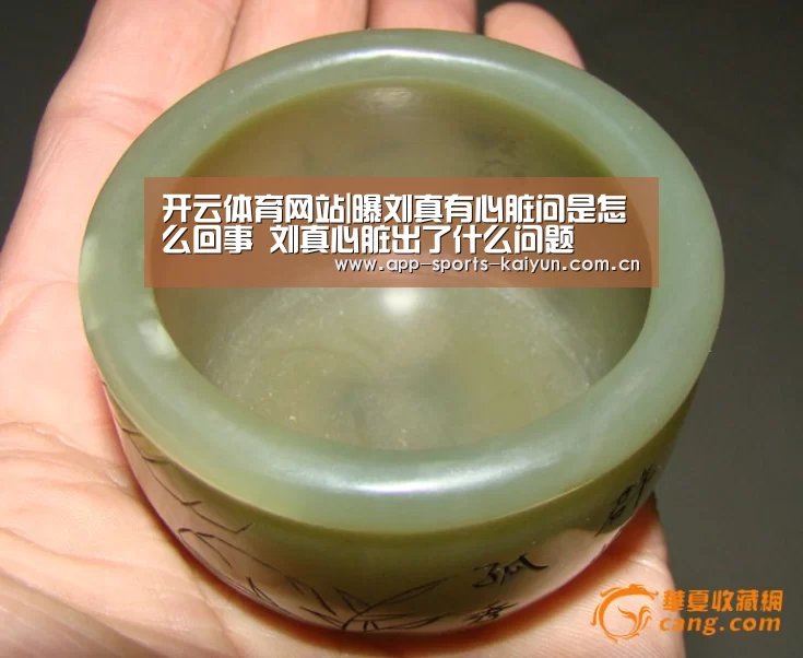 开云体育网站|曝刘真有心脏问是怎么回事 刘真心脏出了什么问题(图3) 开云体育官网