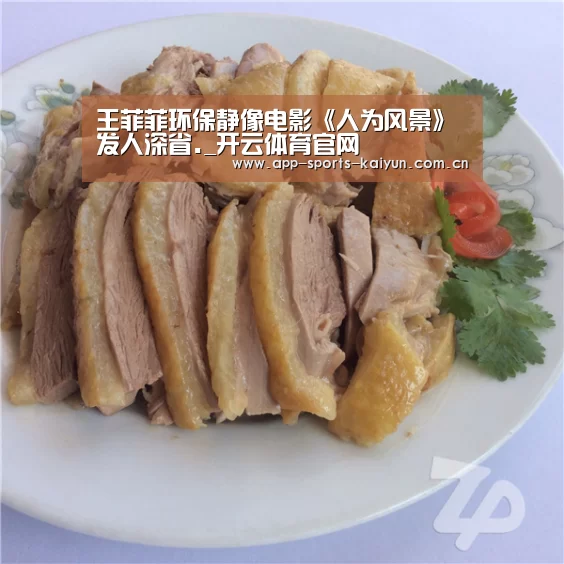 王菲菲环保静像电影《人为风景》发人深省._开云体育官网(图4) 开云体育网站